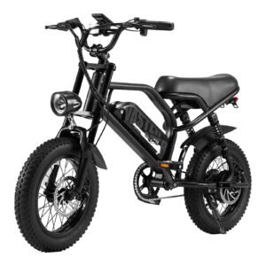 Electric Bike for Teenager 25 km/h Ebike 16'' Fat Tire Electric Bike | A13 Black