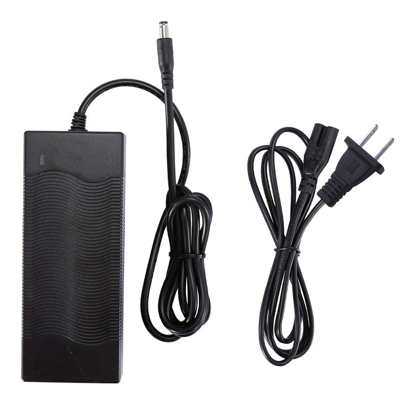 Ebike Charger