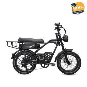 AVDLBIKE T3 20" x 4.0" Fat Tire Electric Bike for Adults – 250W, 48V 18Ah, 25 km/h
